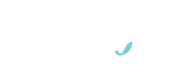 Asmak new brand logo